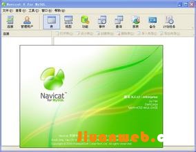 navicat for mysql10