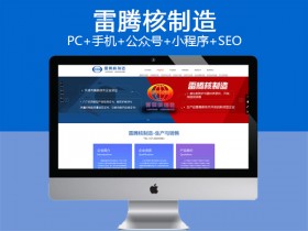 雷腾核制造