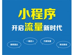 定制小程序和普通版小程序如何选择?答案来了