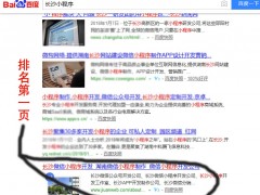 小程序开发公司、长沙小程序等几十个相关词排名首页