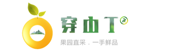 怀化麻阳锦绣黄桃种植基地