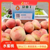 怀化芷江艾头坪水蜜桃-清脆爽口