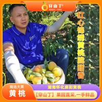 2024湖南怀化麻阳红心锦绣黄桃