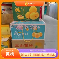 怀化麻阳锦绣黄桃_套袋精品高山黄桃大果
