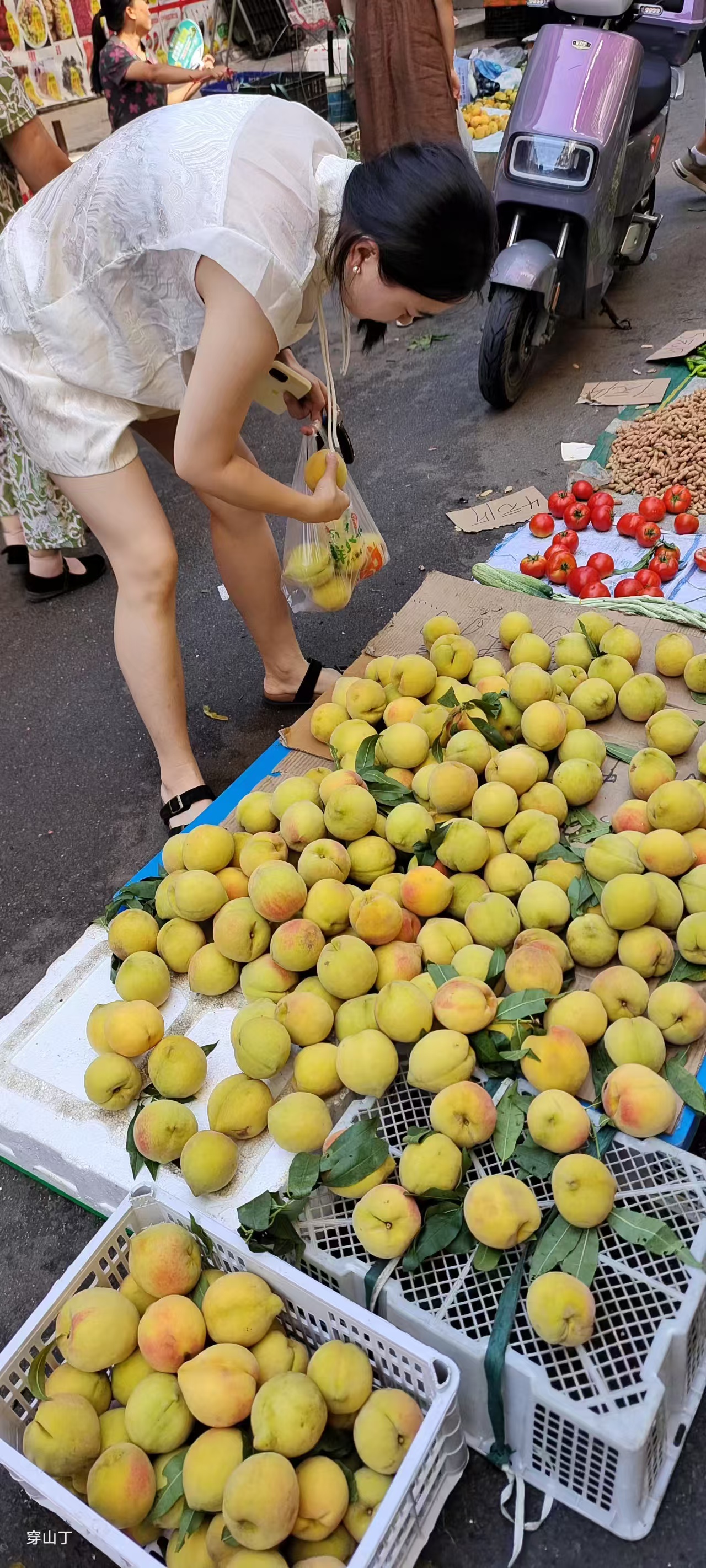 麻阳黄桃